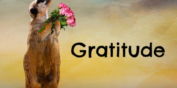 Gratitude